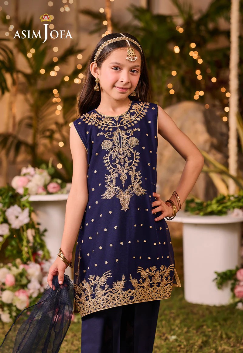 AJLK-03 EMBROIDERED POLY CHIFFON 3 PCS - Image 3